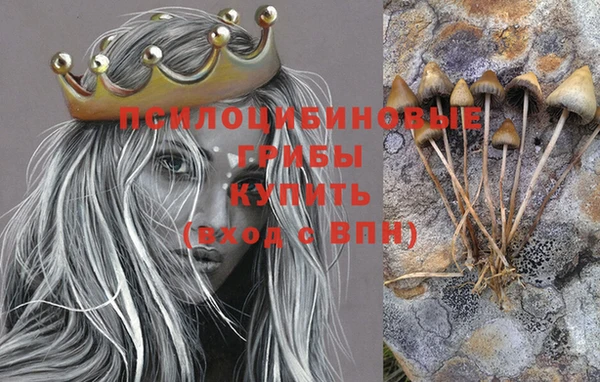 jwh Осинники