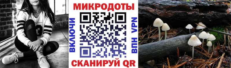 Псилоцибиновые грибы ЛСД  Отрадное 